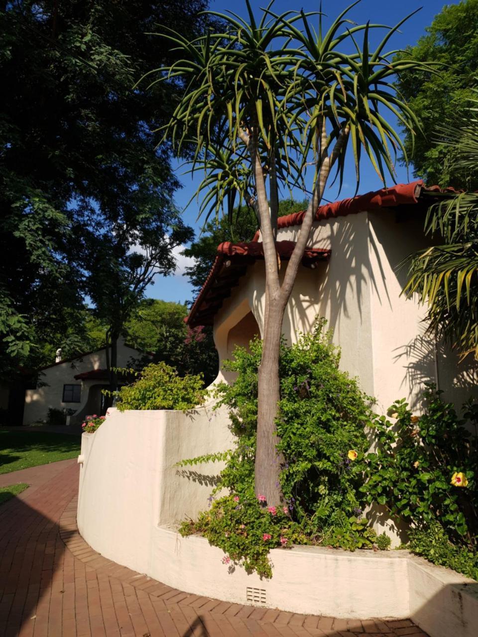 Villa Botanica Guest House Midrand Ngoại thất bức ảnh